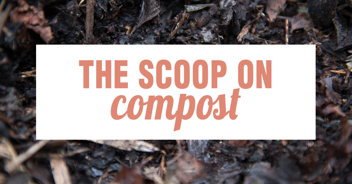 How to Compost for Your Lawn and Garden